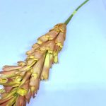 Artificial Flowers