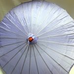Umbrellas